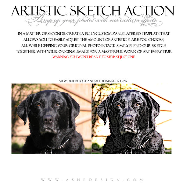 Ashe Design | Photoshop Action | Artistic Sketch 2