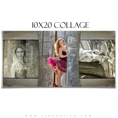 Collage Design (10x20) - Antique Damask