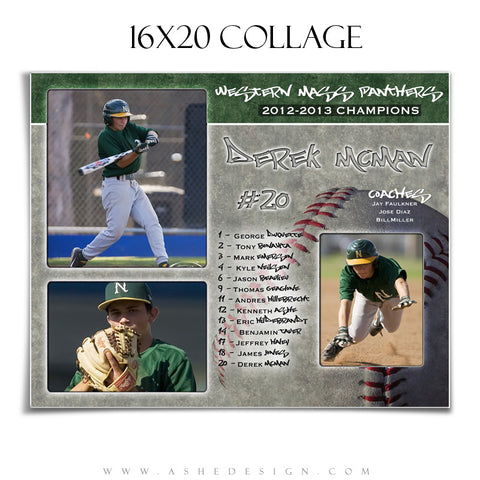 Sports Collage (16x20) - Baseball