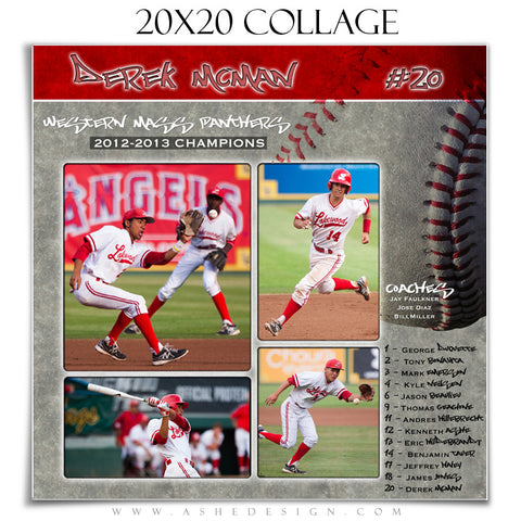 Sports Collage (20x20) - Baseball