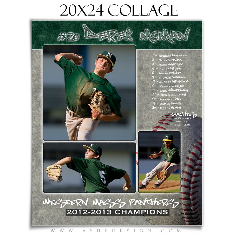 Sports Collage (20x24) - Baseball