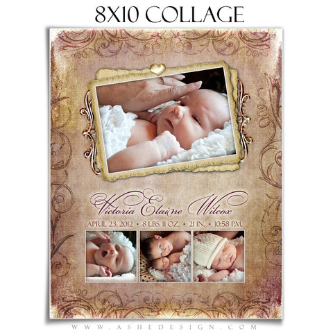 Newborn Collage (8x10) - Fleur De Lis