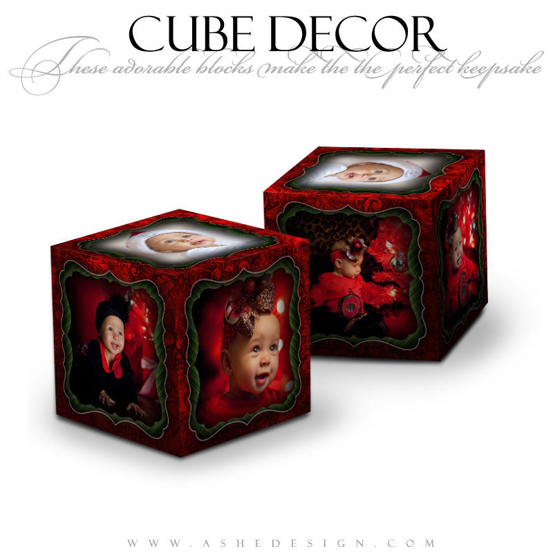 Cube Decor Design - Mistletoe