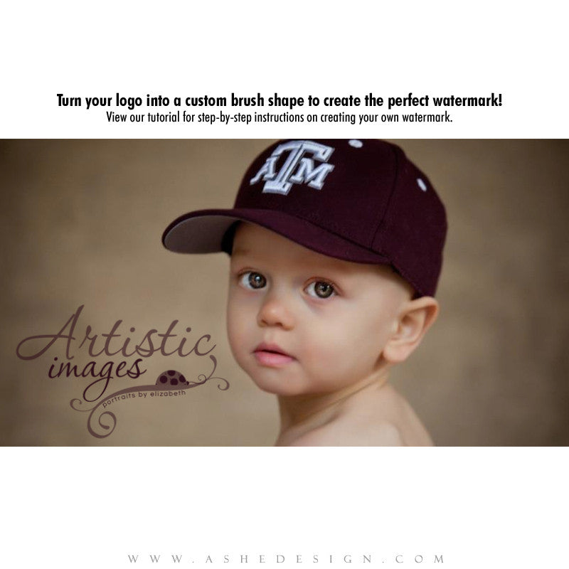 Ashe Design Bugaboo Logo Design AsheDesign