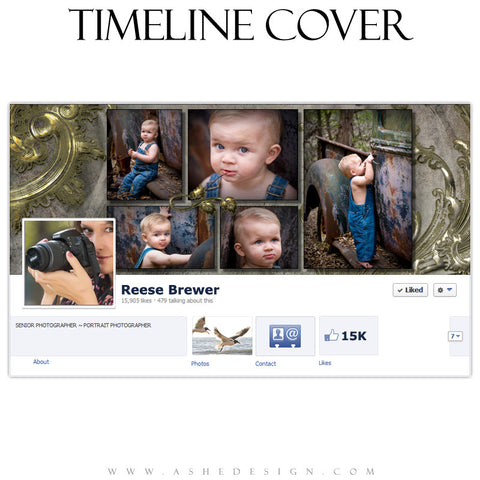Timeline Cover Design - Antique Bling