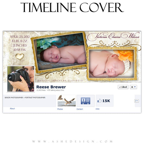 Timeline Cover Design - Fleur De Lis