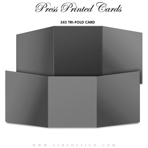 Ashe Design | 5x5 Tri-Fold Card Mockup
