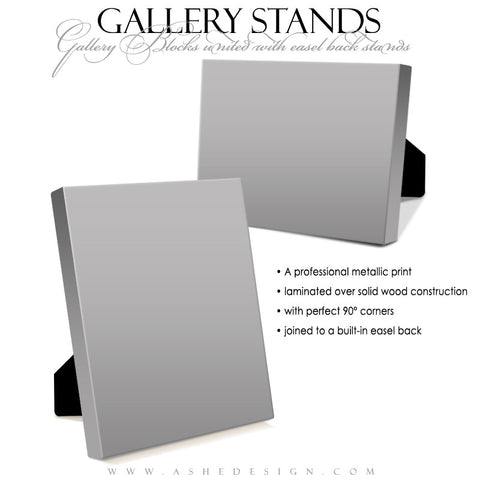 Ashe Design | 5x7 Gallery Stand Mockup