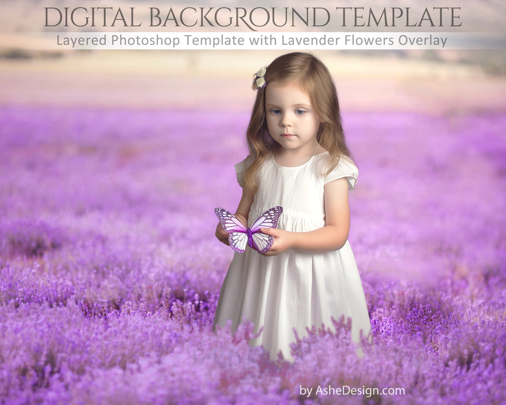 Digital Props 16x20 Backdrop Set - Lavender Fields