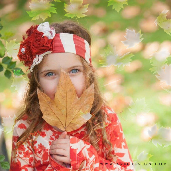 Ashe Design | Photoshop Brush Set | Autumn Leaves example 1