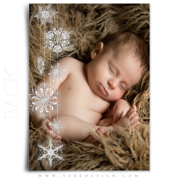 Star Dust Glass Ornament 5x7 Card Back web display