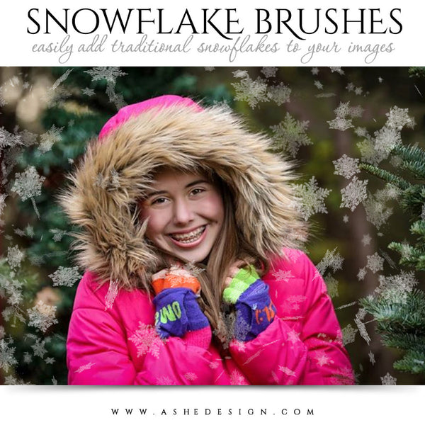 Ashe Design | Photoshop Brush Set | Traditional Snowflakes 2