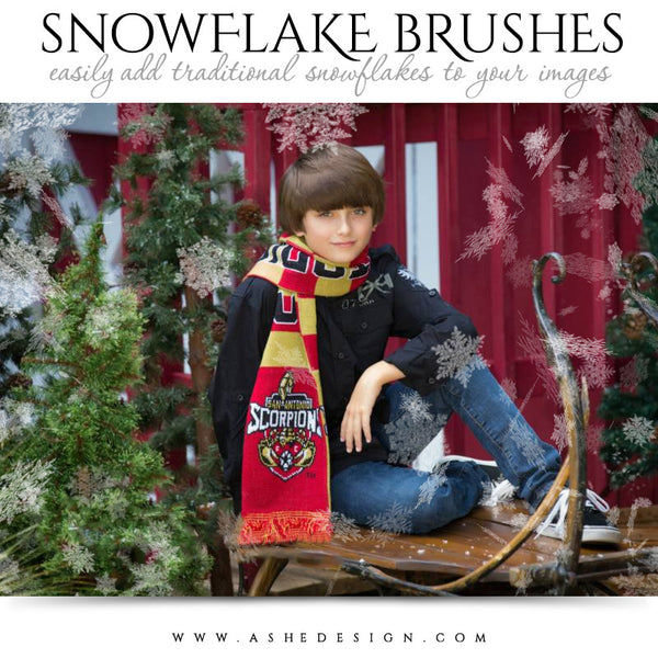 Ashe Design | Photoshop Brush Set | Traditional Snowflakes 3