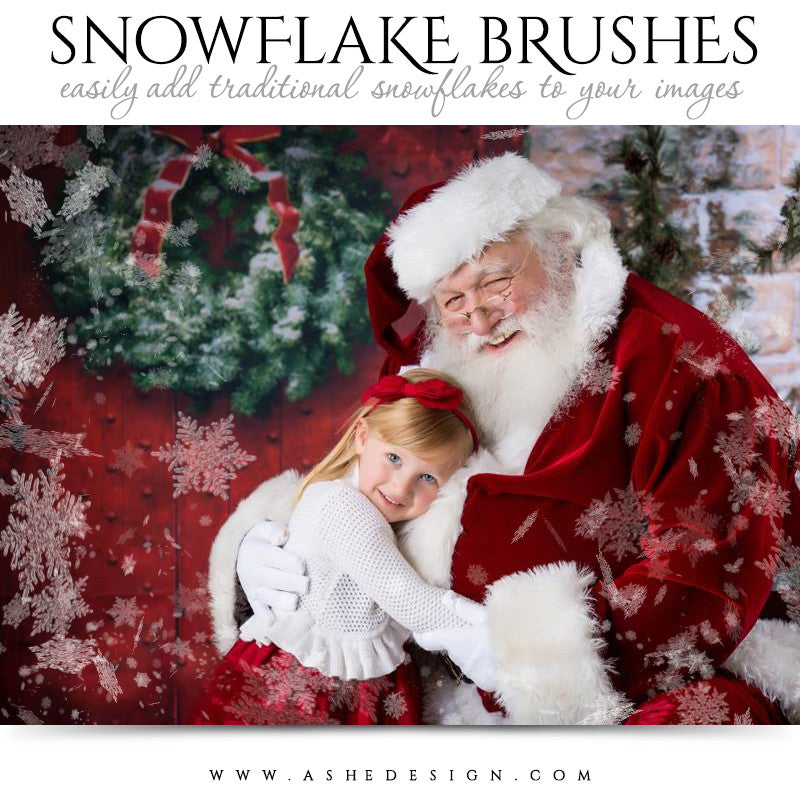 Ashe Design | Photoshop Brush Set | Traditional Snowflakes 1
