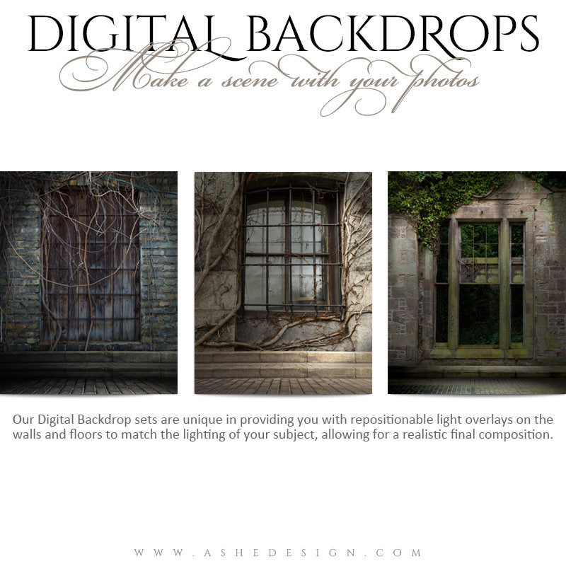 Ashe Design | Digital Backdrops | 16x20 | Window Ivy