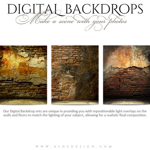 Ashe Design | Digital Backdrops | 16x20 | Brick Grunge