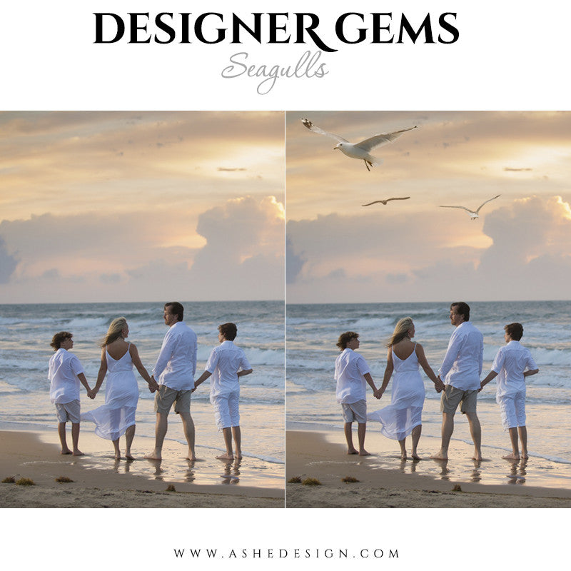 Designer Gems Photo Overlays | Seagulls