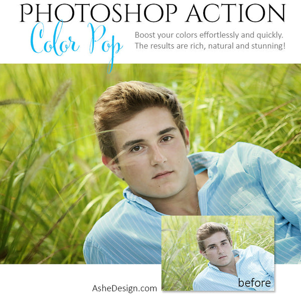 Photoshop Action | Pure Palette - Color Pop1