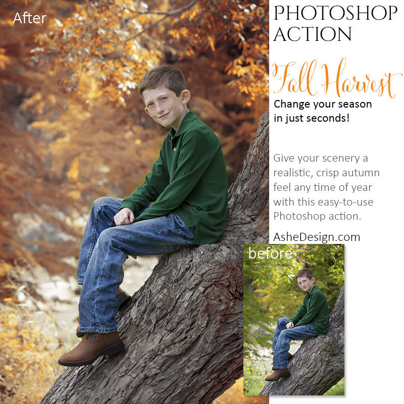 Photoshop Action | Fall Harvest1