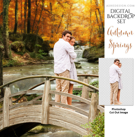 Ashe Design | Photoshop Template | Digital Backdrop Set | 11x14 | Autumn Springs