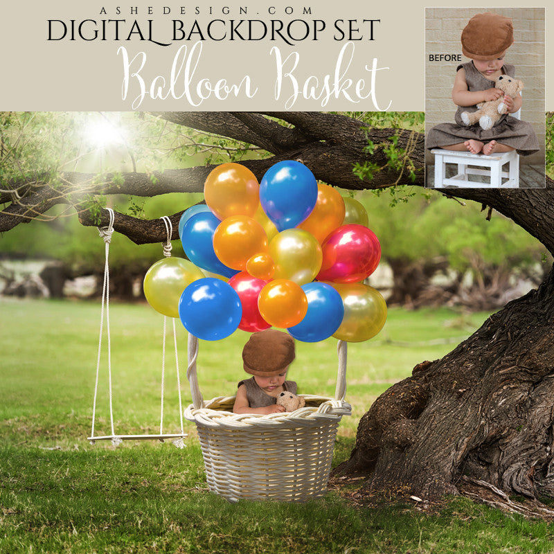 Ashe Design | Photoshop Template | Digital Backdrop Set | 16x20 | Balloon Basket