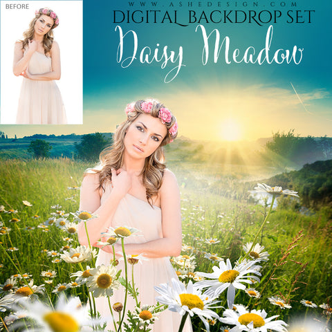 Ashe Design | Digital Backdrop Set | Daisy Meadow | 16x20 | White Flower Field