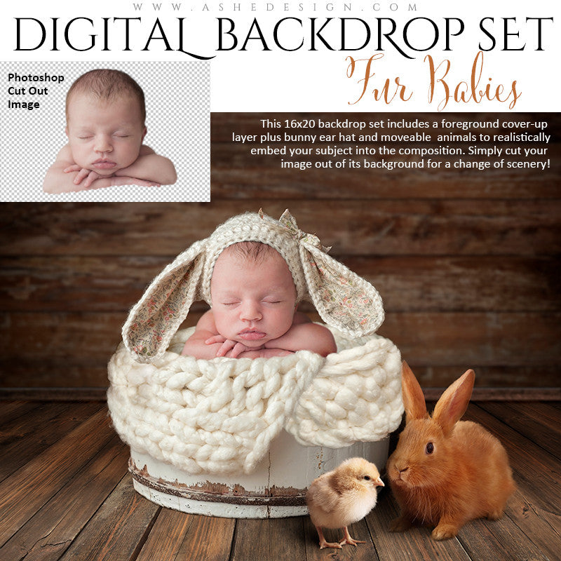 Ashe Design | Digital Backdrop Set | Fur Babies