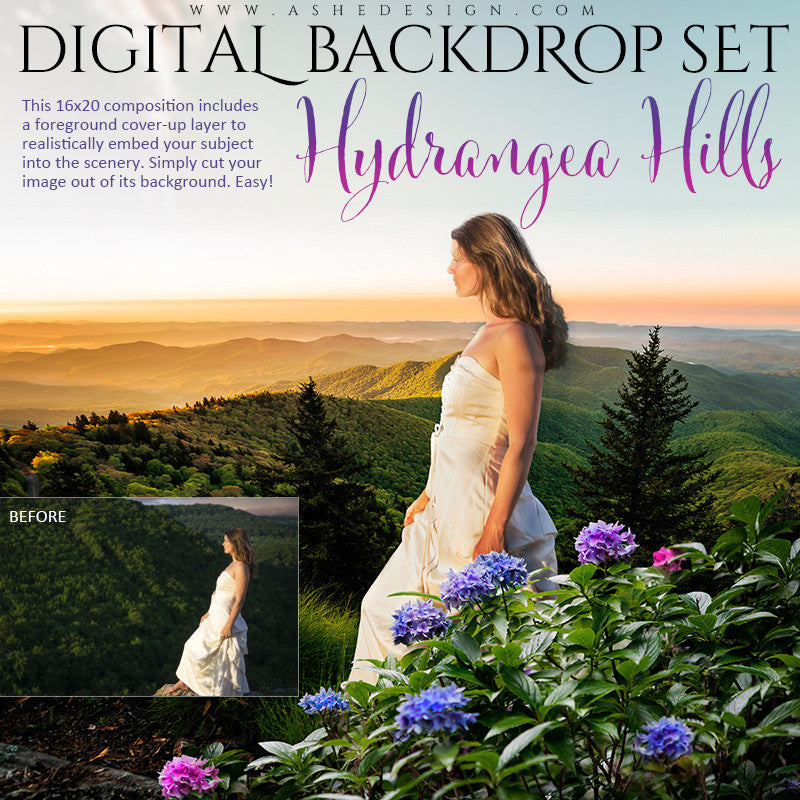 Ashe Design | Digital Backdrop Set | Hydrangea Hills