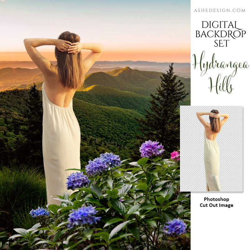Ashe Design | 11x14 Digital Backdrop Set | Hydrangea Hills | Photoshop Templates