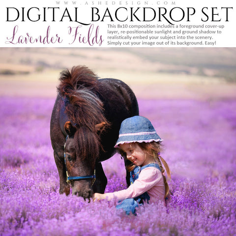 Ashe Design | Digital Backdrop Set |  8x10 | Lavender Fields