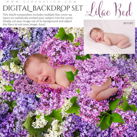 Ashe Design | Digital Backdrop Set | Lilac Bed