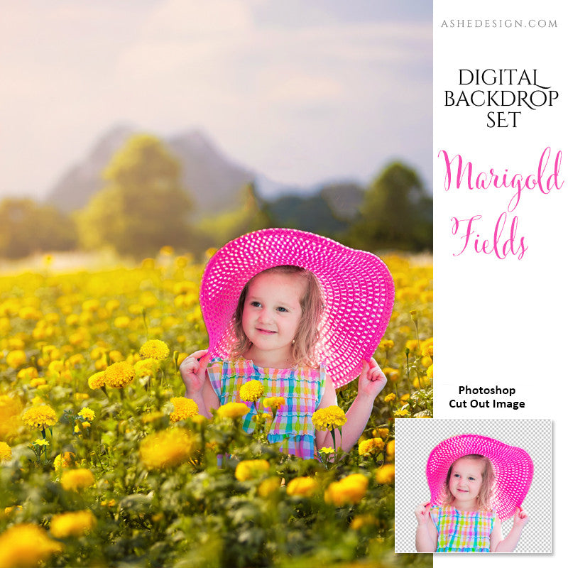 Ashe Design | 11x14 Digital Backdrop Set | Marigold Fields | Photoshop Templates