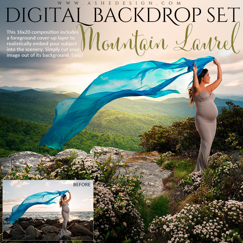 Ashe Design | Digital Backdrop Set | Mountain Laurel