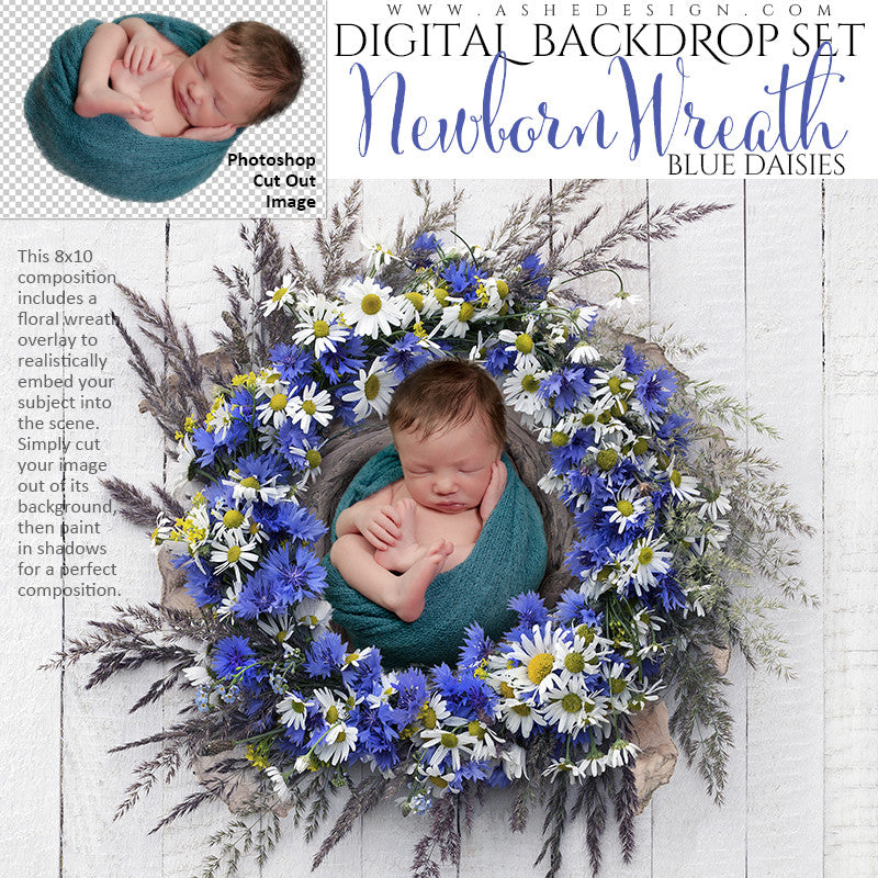 Ashe Design | Digital Backdrop Set |  8x10 | Newborn Wreath Nest | Blue Daisies