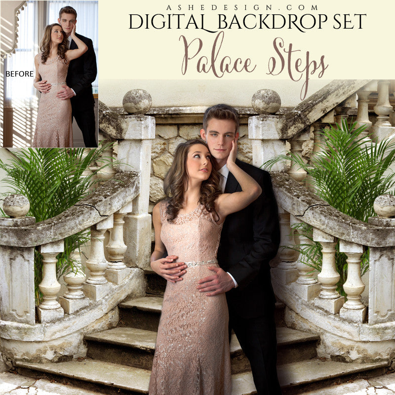 Ashe Design | Digital Backdrop Set | Palace Steps