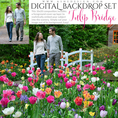 Ashe Design | Digital Backdrop Set | Tulip Bridge