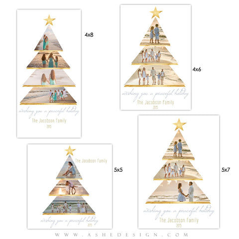 Ashe Design | Holiday Photocards | Photoshop Templates | Gold Foil Holiday
