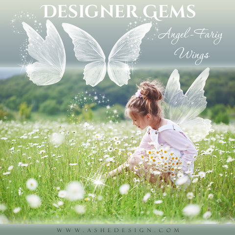 Ashe Design | Designer Gems | Photo Overlays | Angel-Fairy Wings