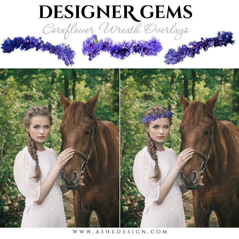 Ashe Design | Digital Overlays | Cornflower Head Wreaths