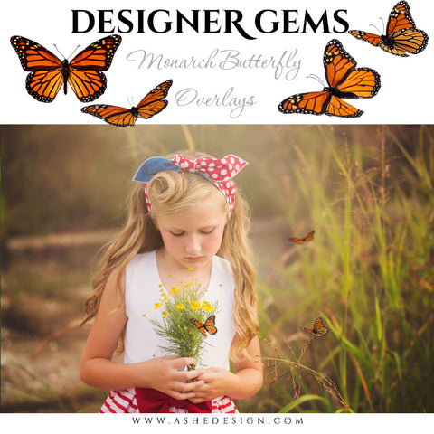 Ashe Design | Digital Overlays | Monarch Butterflies