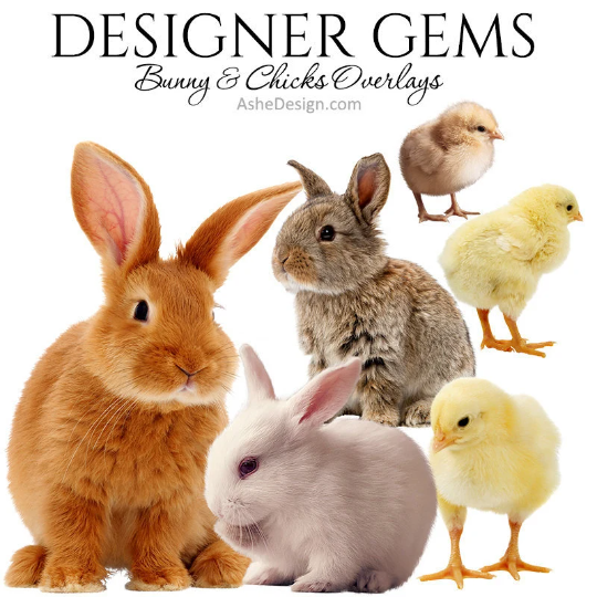 Designer Gems - Bunny Chick Overlays
