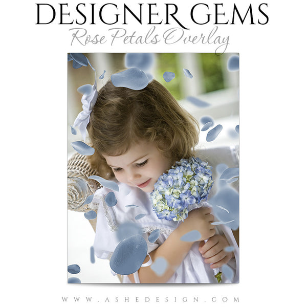 Designer Gems Photo Overlays | Rose Petals2