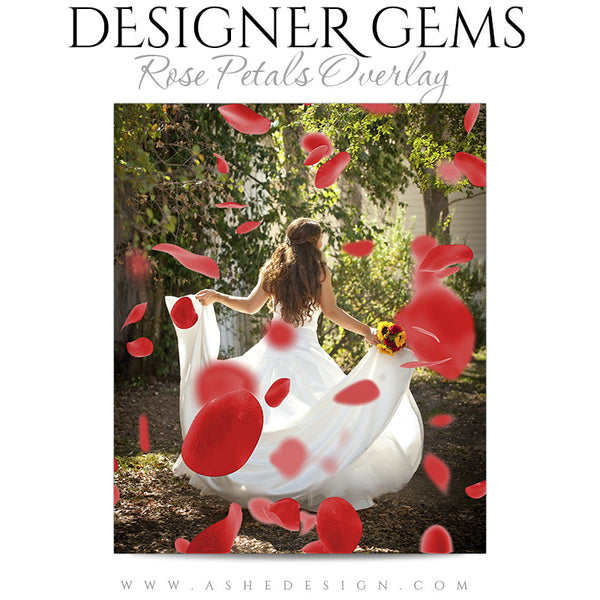 Designer Gems Photo Overlays | Rose Petals3