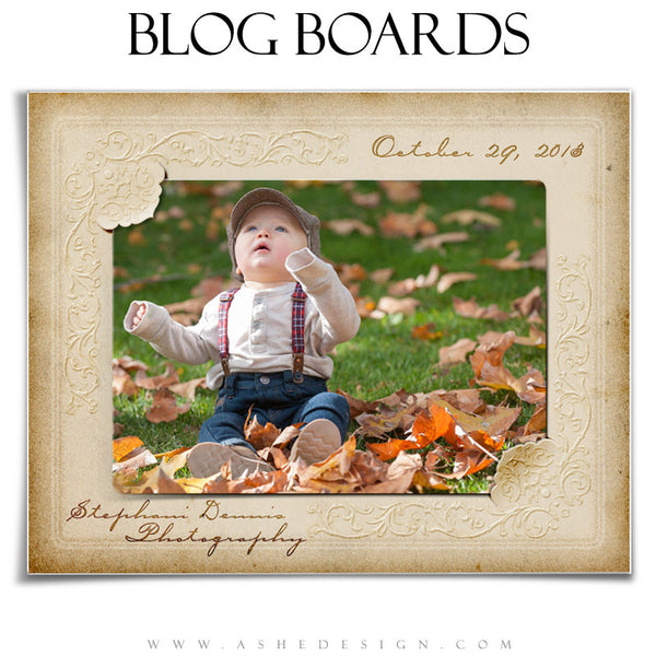 Blog Picture Frame Victorian Frames - Blog Boards – AsheDesign