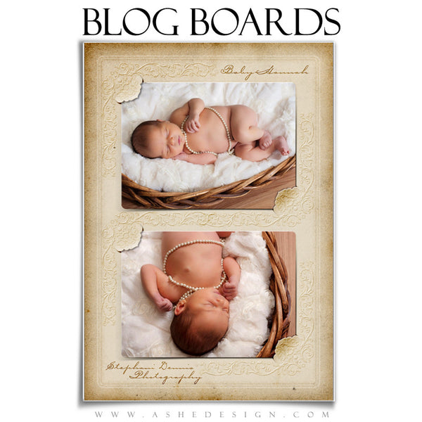Blog Boards - Victorian Frames example2 web display
