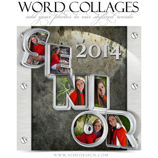 Senior Metal 3D Word Collage 12x12 web display