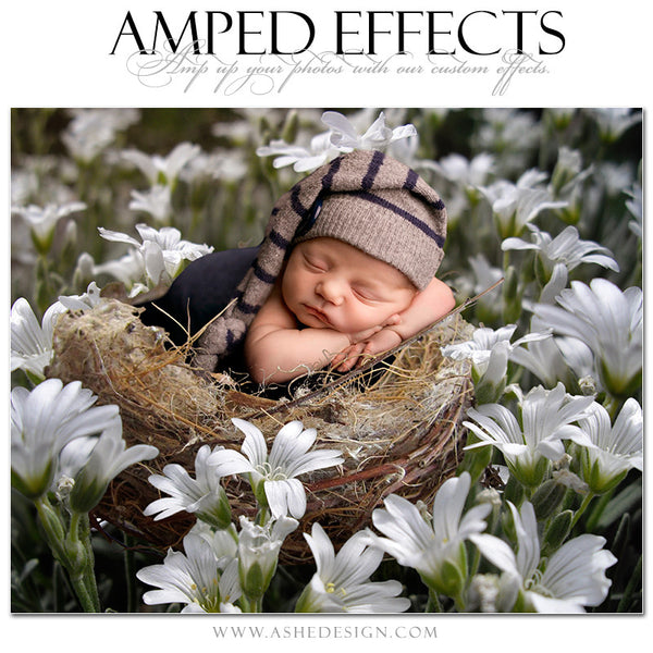 Ashe Design | Amped Effects Photography Templates - Field Of Dreams2