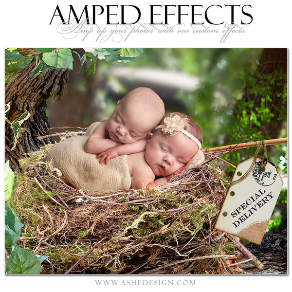 Ashe Design | Amped Effects Photography Templates | Special Delivery