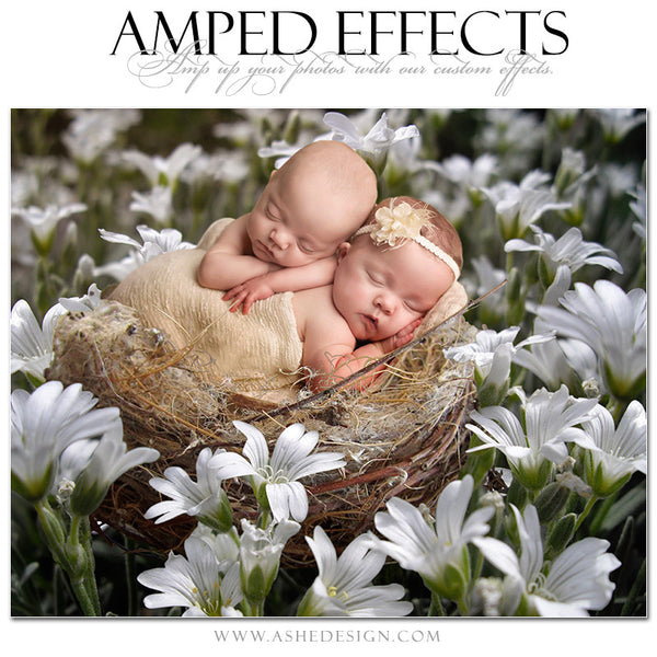 Ashe Design | Amped Effects Photography Templates - Field Of Dreams twins