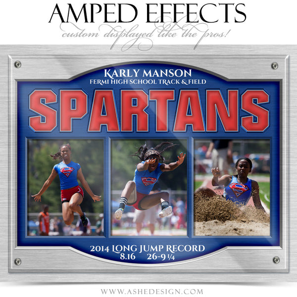 Ashe Design | Amped Effects | On Display Triptych web display2